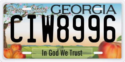 GA license plate CIW8996