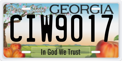 GA license plate CIW9017