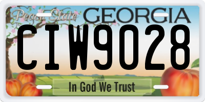 GA license plate CIW9028