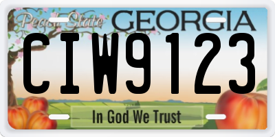 GA license plate CIW9123
