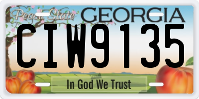 GA license plate CIW9135