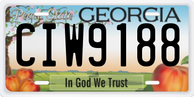 GA license plate CIW9188