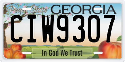 GA license plate CIW9307