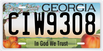 GA license plate CIW9308