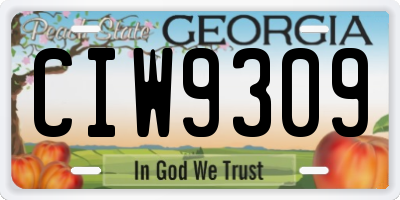 GA license plate CIW9309