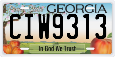 GA license plate CIW9313