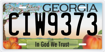 GA license plate CIW9373