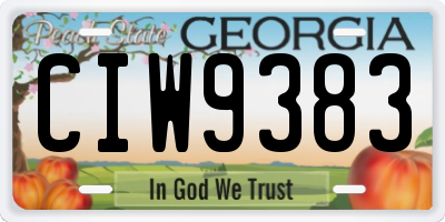 GA license plate CIW9383