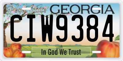 GA license plate CIW9384