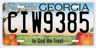 GA license plate CIW9385