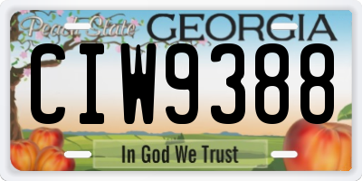 GA license plate CIW9388