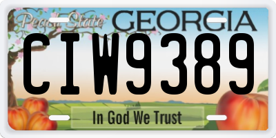 GA license plate CIW9389