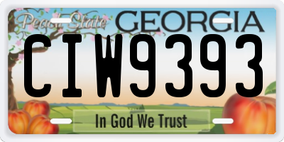 GA license plate CIW9393
