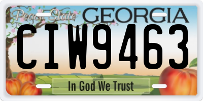 GA license plate CIW9463