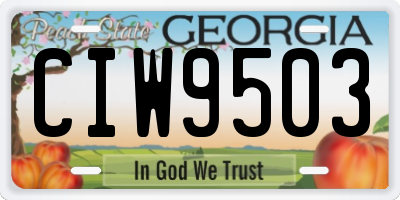 GA license plate CIW9503