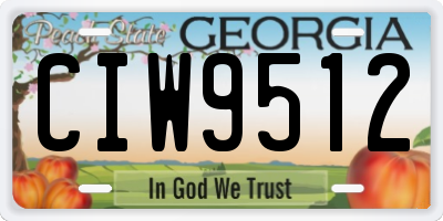 GA license plate CIW9512