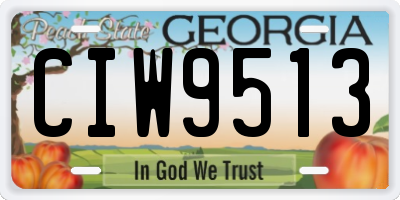 GA license plate CIW9513
