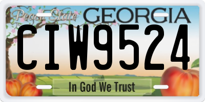 GA license plate CIW9524
