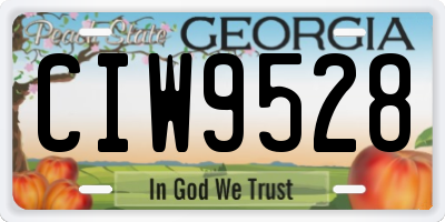 GA license plate CIW9528
