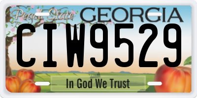 GA license plate CIW9529