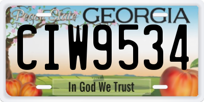 GA license plate CIW9534