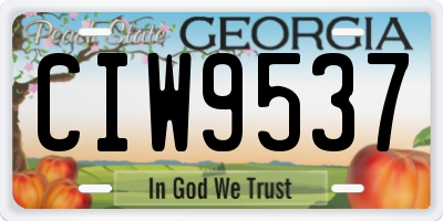 GA license plate CIW9537