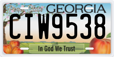 GA license plate CIW9538