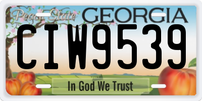 GA license plate CIW9539