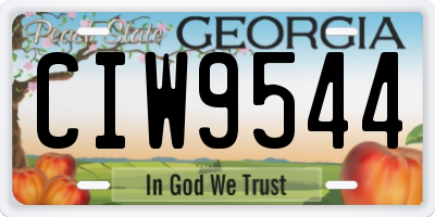 GA license plate CIW9544