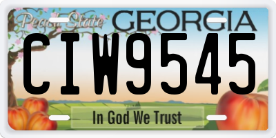 GA license plate CIW9545