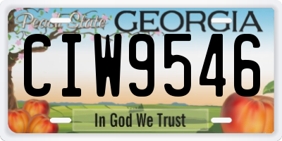 GA license plate CIW9546
