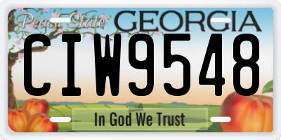 GA license plate CIW9548