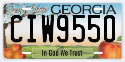 GA license plate CIW9550