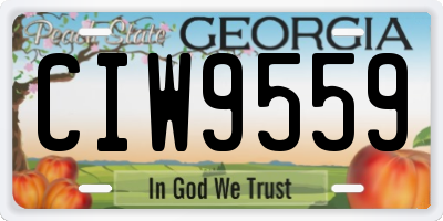 GA license plate CIW9559