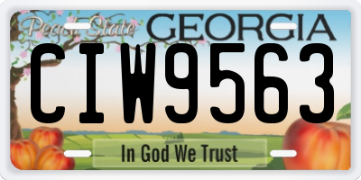 GA license plate CIW9563