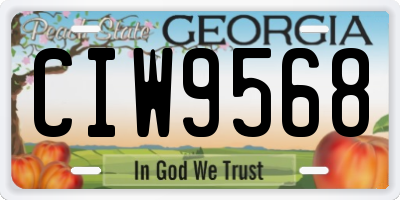 GA license plate CIW9568