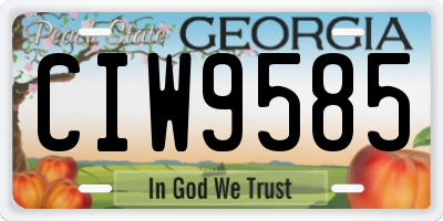 GA license plate CIW9585