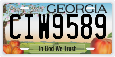 GA license plate CIW9589