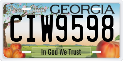 GA license plate CIW9598
