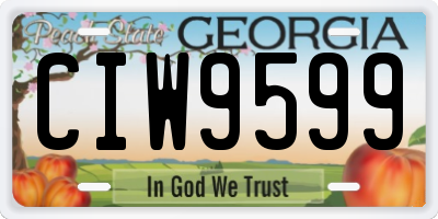 GA license plate CIW9599