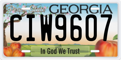 GA license plate CIW9607