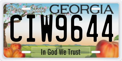 GA license plate CIW9644