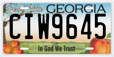 GA license plate CIW9645