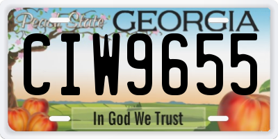 GA license plate CIW9655