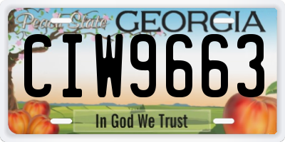 GA license plate CIW9663