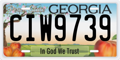 GA license plate CIW9739