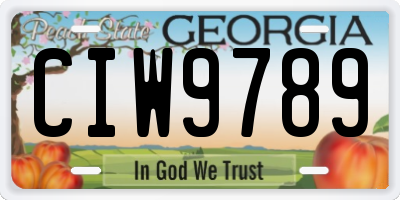 GA license plate CIW9789