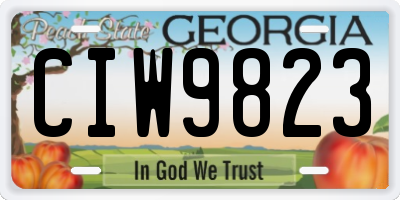 GA license plate CIW9823