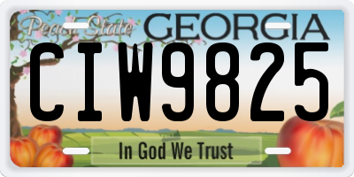 GA license plate CIW9825