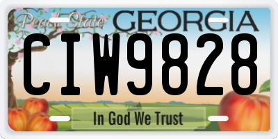 GA license plate CIW9828